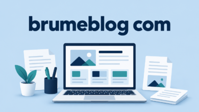 Brumeblog com