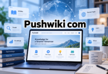 Pushwiki com